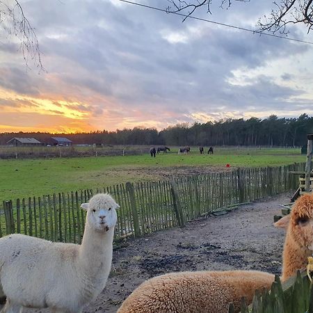 Luxe Finse Kota Met Jacuzzi En Saunabarrel De Zandhoef Villa Eersel Bagian luar foto